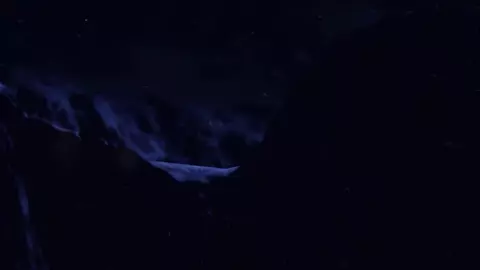 Annecy’s Elegy – Overwatch Porn Movie - Opiumud