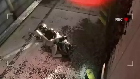 Jill and Mold - Santalol