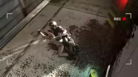 Jill and Mold - Santalol