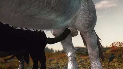 Girl Takes 3 Horse Cocks Pt.1 - Skyrim - DragonLover271