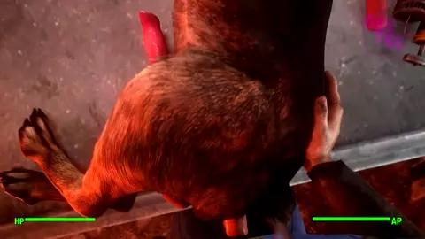 Dogmeat Fuck - GeeTee