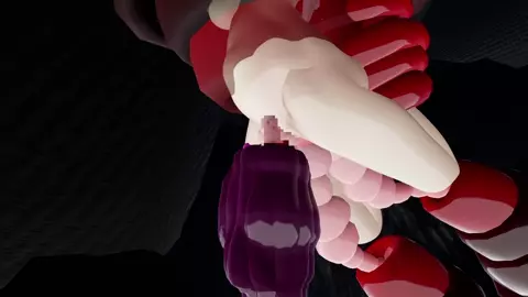 Tentacle Restraint - Jaxmmd