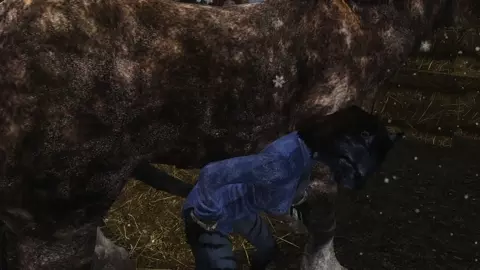 Horny Khajiit Pleasures Beasts