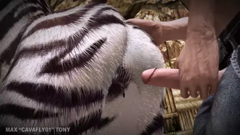 Savannah Exploration