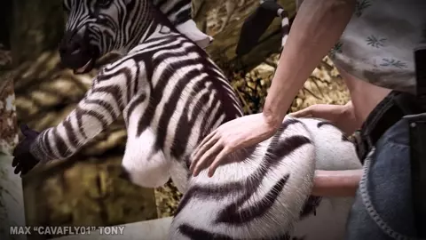 Savannah Exploration