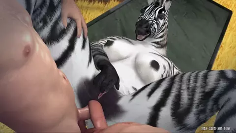 Zahira's double opening