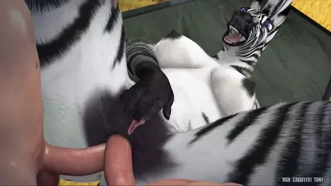 Zahira's double opening