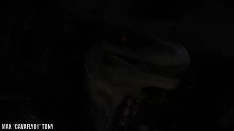 Into the raptors' nest