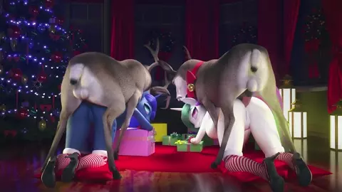 Skilled Pets - Eqamrd