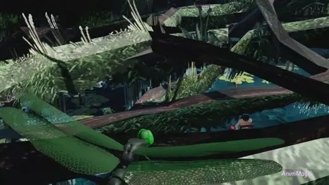 Beauty and the Dragonfly