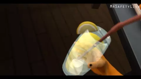 Simba x Krystal - MrSafetyLion