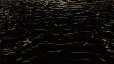 Captiva 2: Breeding Grounds