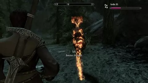 Skyrim - Beastess Atronach
