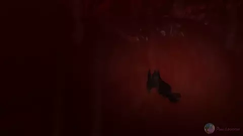 Prowling - Pinklagoon