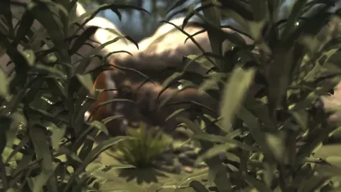 Animation H0rs3- Fox and Wolf