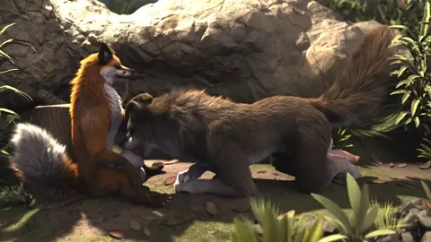 Animation H0rs3- Fox and Wolf