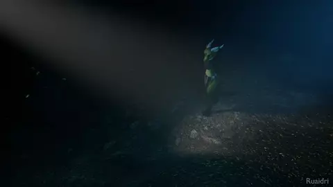 The Dragon's Hoard [Ruaidri]