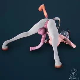 Jackochallenge [VanimateApp