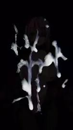 Cleaning Your Screen [bingo torte]