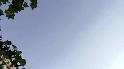 Naked Pool [eddysfm]