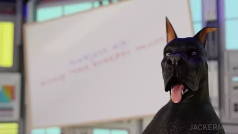 Lab Experiments - Jackerman