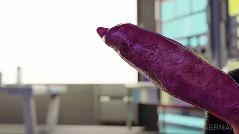 Lab Experiments - Jackerman