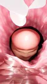Inside Creampie