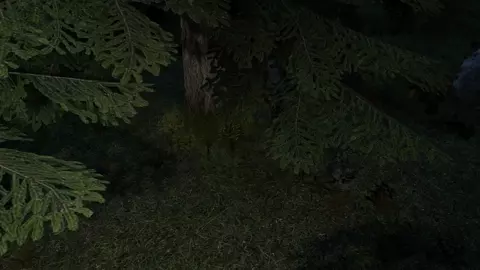 Ellie from TLOU 2 with feral dog