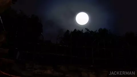 The Captive: Part Two - Jackerman