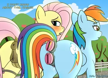 Voyeurs Pony [haltie]