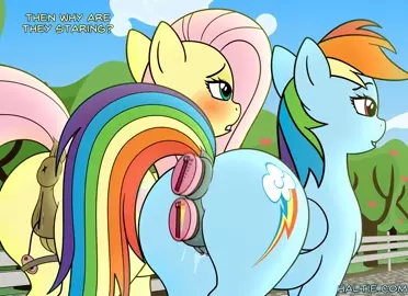 Voyeurs Pony [haltie]