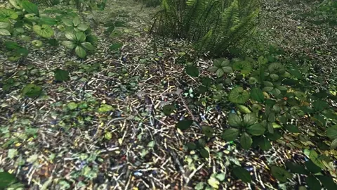 Tomboy gets surprised in the forest