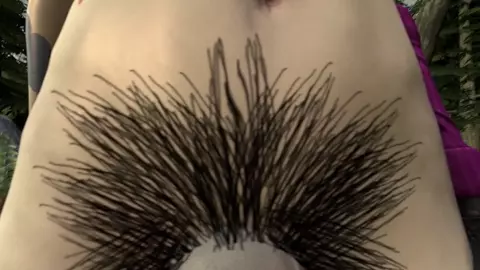 [POV] Forest meeting