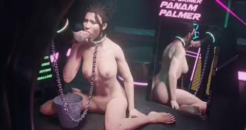 ZMSFM Panam and Horse