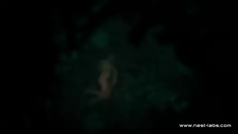 Icarus - Final Teaser