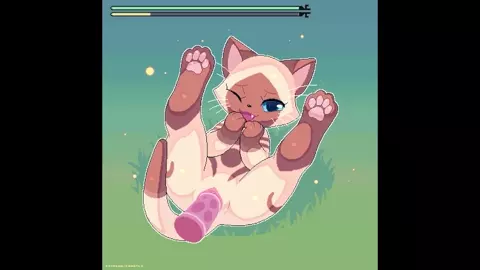 Camotli Animation Compilation