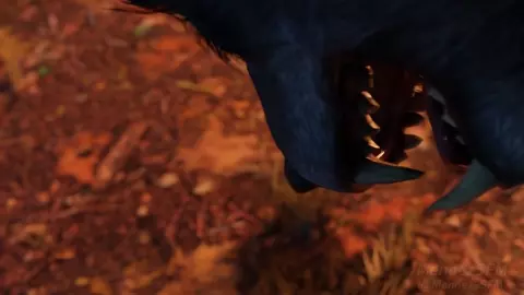 Jenny In The Woods [Mendezsfm]