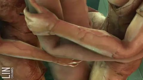 2 Bubble head nurses threesome (Silent Hill)