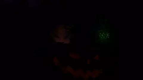 Futanari Wolf fucking Pumpkin (Spooky) voiced by PinkRotten (VA)