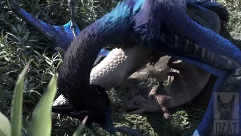 FURRY BIRD & DRAGON (DZÄT)