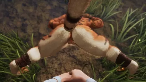 Wild Life - Voracious Tiger