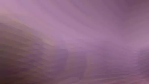 Apex Legends Girls HMV