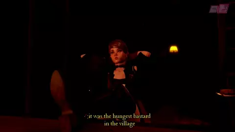 Schwanzstein - DGenerator