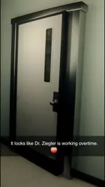 Dr. Ziegler's(Mercy) overtime antics caught in 4k! [Gennariel]