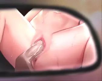 St. Louis (Eng Sub) [LuminousArt]