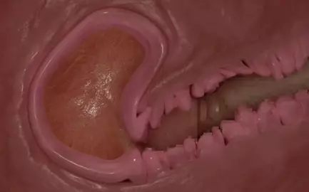 Internal View [inui (shirakawa777)]