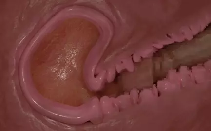 Internal View [inui (shirakawa777)]