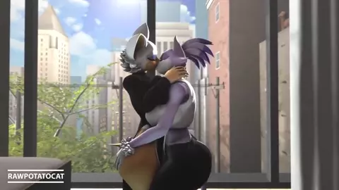 Blaze The Cat And Rouge [Rawpotatocat]