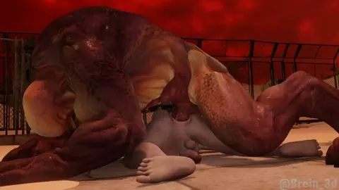 Marauder And Hell Knight [NoSound][Brein]