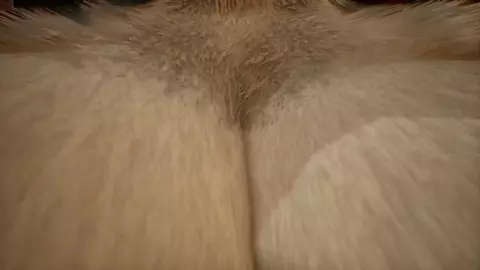 Wild Life - Kerpali Sauna